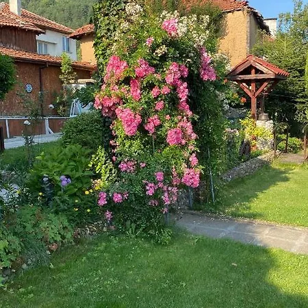 Guest house Simona 3*