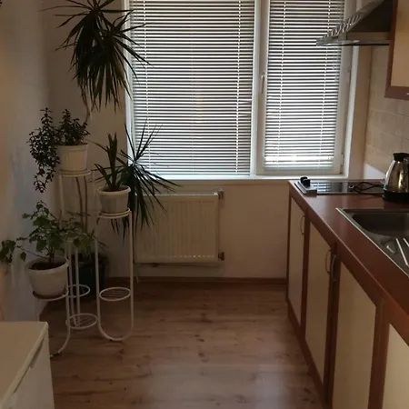 Guest house Simona Sapareva Banya