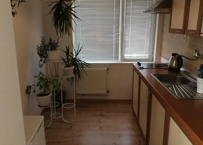 Penzion Simona Sapareva Banja